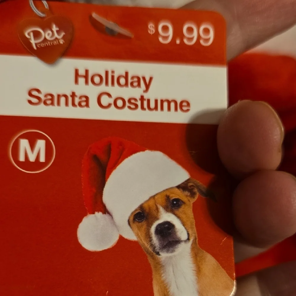 Festive Red Dog Santa Costume